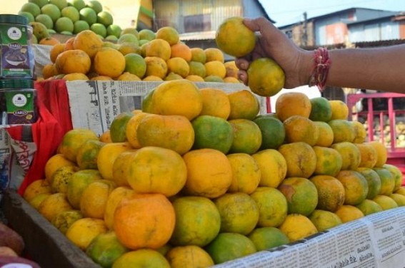 Amid 'Vocal for Local' slogans, Orange Production falls in Tripura's Jampui Amid 'Vocal for Local' slogans, Orange Production falls in Tripura's Jampui